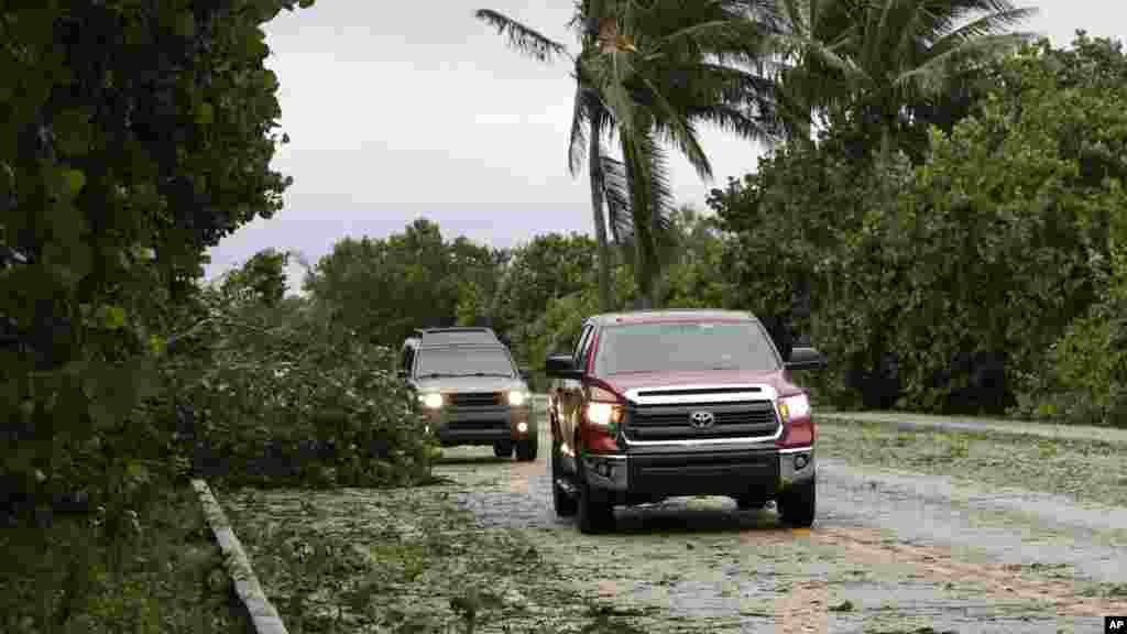 Des voitures évitent une branche d&#39;arbre sur laroute après le passage de l&#39;ouragan Matthew, le 7 octobre 2016.