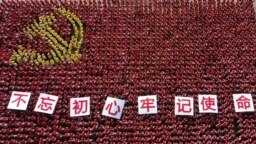 中国浙江省金华市的中共党员手举“不忘初心牢记使命”的标语牌组成中共党旗图案的阵仗。（2019年6月28日）