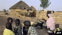 FAO: 925 miliona gladno ili neuhranjeno