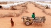 Afrique : grandes sécheresses et famines