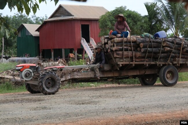 Villagers in Kampong Thom provinceâs Santuk districtâs Kraya commune, use a two-wheeled tractor to transport forestry products they collect from nearby forests. (Sun Narin/VOA)