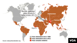 Cases of Polio Worldwide