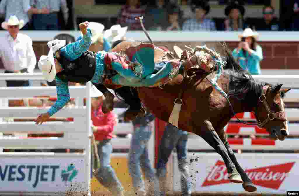 Kilby Kittson of Browning, Montana, gets tossed off the horse Betrayed Cankaid in the junior saddle bronc event during the Calgary Stampede rodeo in Calgary, Alberta, Canada, July 7, 2019.