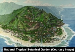 Artist's depiction of what the area around Limahuli might have looked like many years ago.