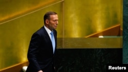 Tony Abbott