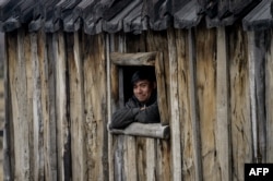 FILE - Mapuche indigenous Carlos Melinir looks out a window from a traditional Mapuche ruca house where traditional dishes — which use pinons, the fruit of the araucaria tree — are prepared for tourists in Quinquen, Temuco, Chile, Oct. 24, 2018.