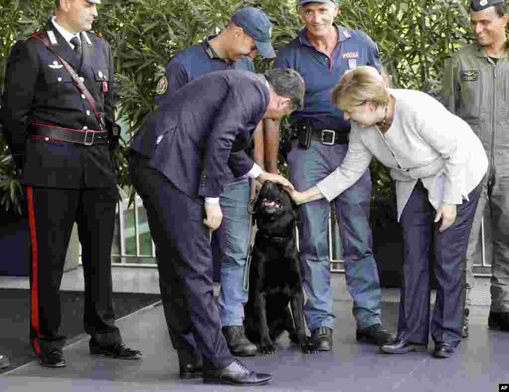 German Chancellor Angela Merkel, right, and Italian Premier Matteo Renzi pat Leo, the black Labrador retriever who helped pull out four-year-old Giorgia Rinaldo from under the rubble of the town of Pescara del Tronto following an earthquake, in Maranello, Italy.