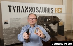 Hans Sues, Chair of the Department of Paleobiology at the National Museum of Natural History, Smithsonian Institution compares an actual fossilized tooth from Timurlengia euotica with the tooth of a T-Rex. (Photo courtesy of James DiLoreto)