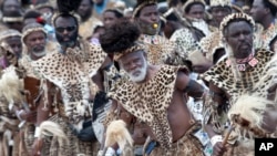 Members of the Shembe Church wearing leopard skins during their dance celebrations at eBuhleni, near Durban, South Africa, Jan 29, 2017. 