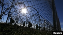 Migrants walk along Hungary's border fence on the Serbian side of the border near Morahalom, Hungary, Feb. 22, 2016. 