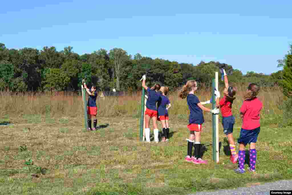 The girls' field hockey team at St. James Academy private school in Monkton, MD helps plant trees on school grounds. (Credit: Alliance for the Chesapeake Bay)