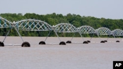 Un champ de soja inondé à Yazoo City, dasns l'Etat du Mississippi