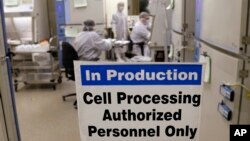 FILE - A photo shows the cell processing facility at the Fred Hutchinson Cancer Research Center where workers create customized cellular immunotherapies for patients, in Seattle, Washington, March 29, 2017.