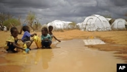 Somali boys fetch water from a puddle that formed after rain at the sprawling Dadaab refugee complex in Kenya, October 2011.