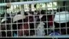 Homeless Rohingya Boat People Face Detention Deadline