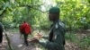 Un douanier arrêté pour braconnage en Côte d'Ivoire