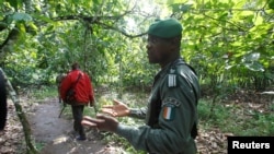 Kolo Ouattara, agent de l'OIPR responsable du Mont Peko, patrouille dans le parc national du Mont Peko dans le département de Duekoue, dans l'ouest de la Côte d'Ivoire le 18 août 2015. 