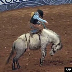 Rodeo u Hjustonu
