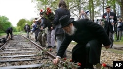 A Rabbi puts a rose on the railroad tracks at former concentration camp Westerbork, the Netherlands, remembering more than a hundred thousand Jews who were transported from Westerbork to Nazi death camps, May 9, 2015.