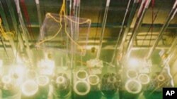 Một em bé tới gần các thành viên của cộng đồng Hồi Giáo tham gia một buổi cầu nguyện giữa trưa tại Đền thờ lớn Strasbourg ở Strasbourg, Pháp, vào ngày đầu tiên của lễ Ramadan.
