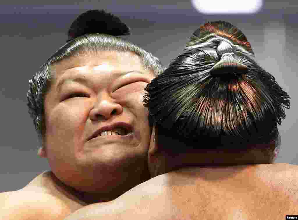 Dua pegulat sumo bertarung pada turnamen tahunan &#39;Honozumo&#39; di Tokyo, Jepang.