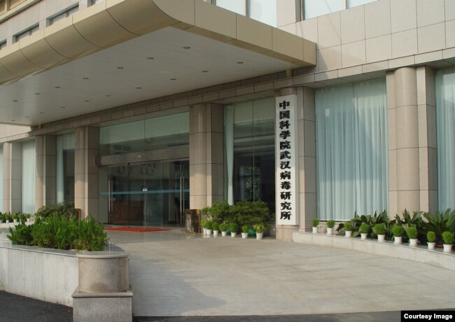 中国科学院武汉病毒研究所大楼 (网络照片 )