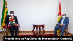 Presidents Emmerson Mnangagwa and Filipe Nyusi met recently in Mozambique where they discussed security issues.
