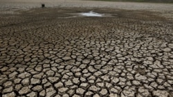 ထိုင်းမှာ မိုးခေါင်ရေရှားမှုနဲ့ ရင်ဆိုင်နေရ