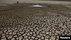 ထိုင်နိုင်ငံမှာ ၂၀၁၆ တုန်းက မိုးခေါင်စဉ်