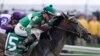 Exaggerator Prevails in Preakness Stakes