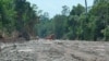 جنگلات کا تحفظ: انڈونیشیا کو دیے گئے امریکی قرضہ میں نرمی