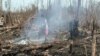 Desflorestação na Huíla é "preocupante"