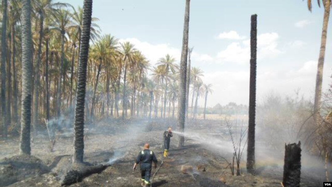Orchards burn in Khanaqin
