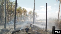 Orchards burn in Khanaqin