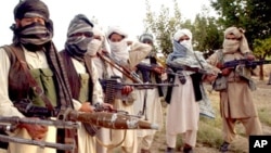 Wasu Mayakan Taliban