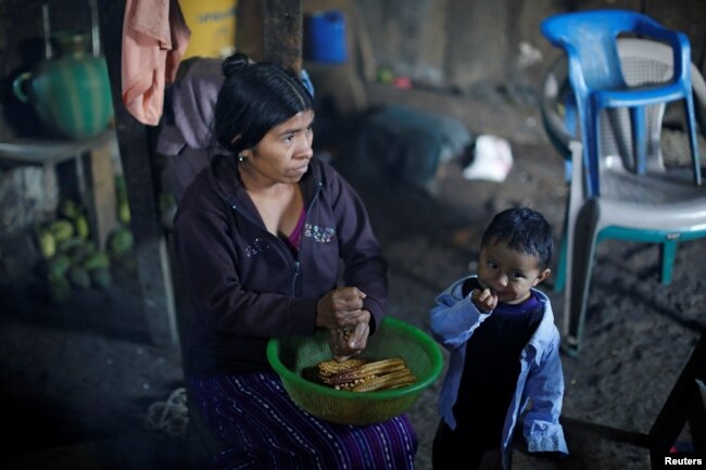 Catarina Alonzo, mother of Felipe Gomez Alonzo, dekernels maize at her home in the village of Yalambojoch, Guatemala, Dec. 27, 2018.