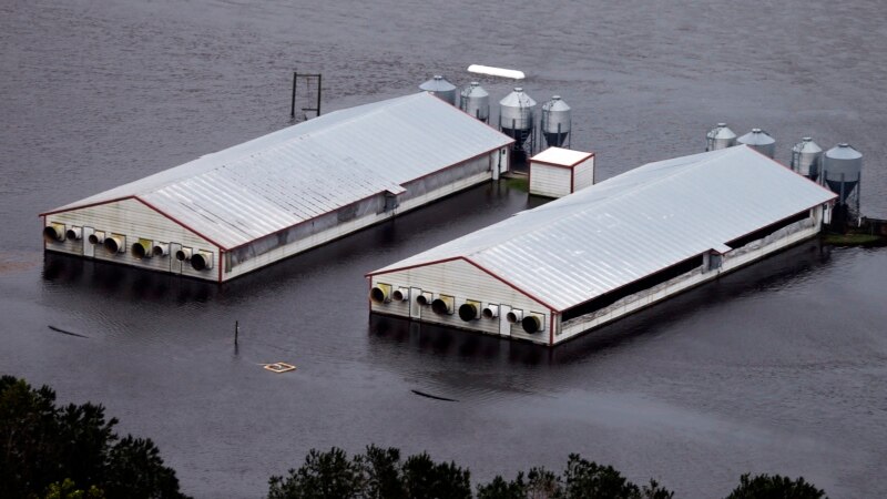 US Meteorologists Retire Hurricane Names Florence, Michael