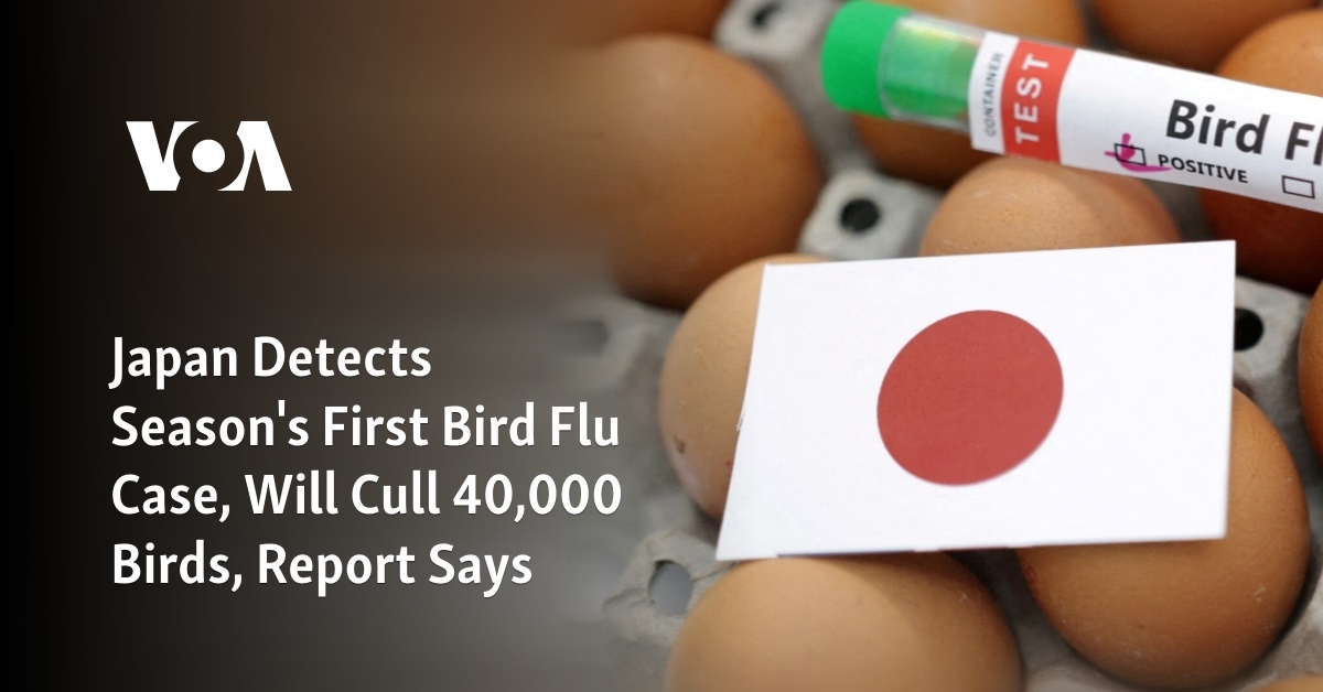 Japan Detects Season's First Bird Flu Case, Will Cull 40,000 Birds, Report Says