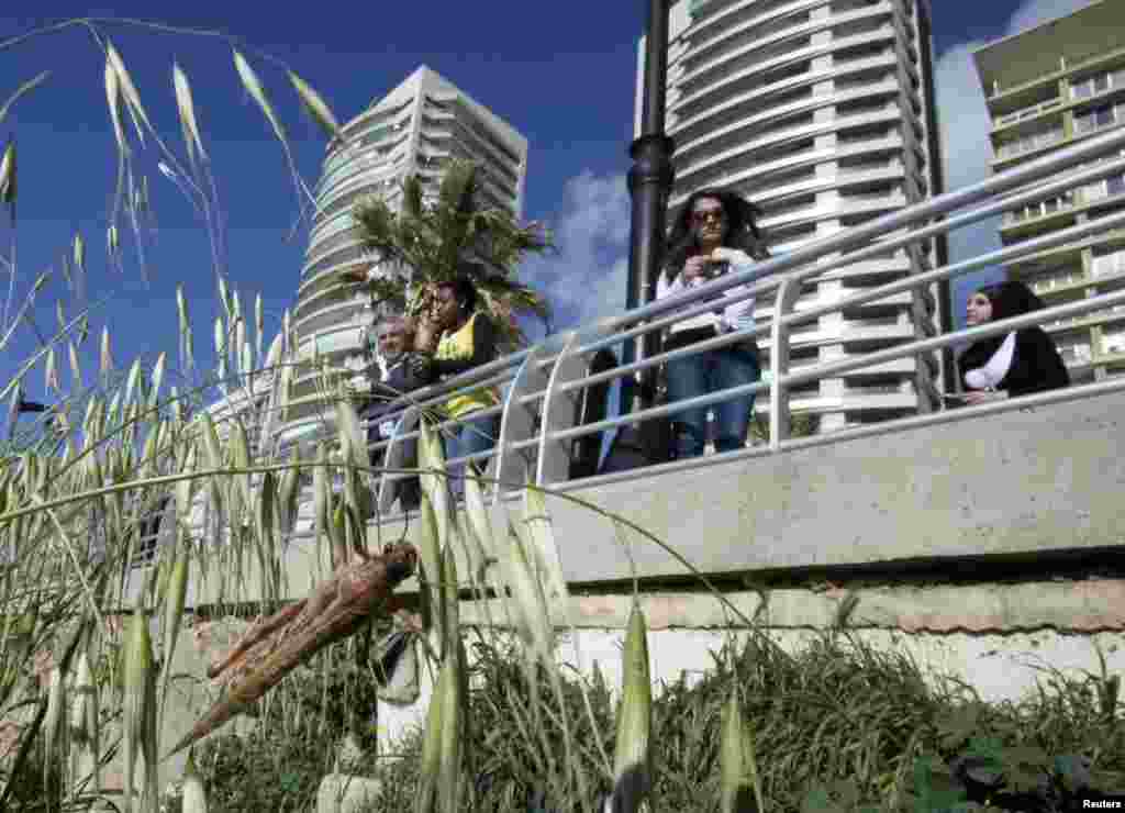 Seekor belalang bertengger di pohon jagung di Beirut, Lebanon. Warga di kota itu dikagetkan oleh berita bahwa sekawanan belalang, yang bisa melahap sekitar 100.000 ton tumbuh-tumbuhan, terlihat di sana.