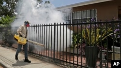 Một nhân viên diệt muỗi ở quận hạt Miami-Dade phun thuốc xung quanh một ngôi nhà ở khu vực Wynwood, Miami, ngày 1 tháng 8 năm 2016. 