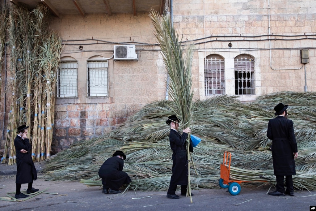 ̽ 3   ϳ &#39;(Sukkot)&#39; ռ  뱳 ڵ 췽   ̴ ӽ ʸ &#39;(Sukkah)&#39;     ִ.