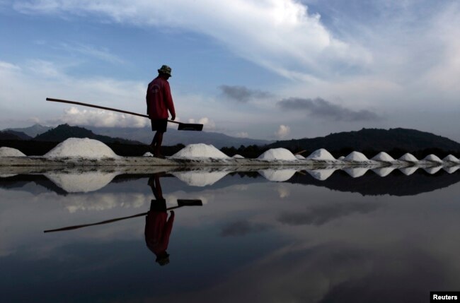 Seorang pekerja berjalan di ladang garam di desa Palibelo, di pinggiran Bima, di pulau Sumbawa, 22 November 2012. (Foto: REUTERS/Beawiharta)