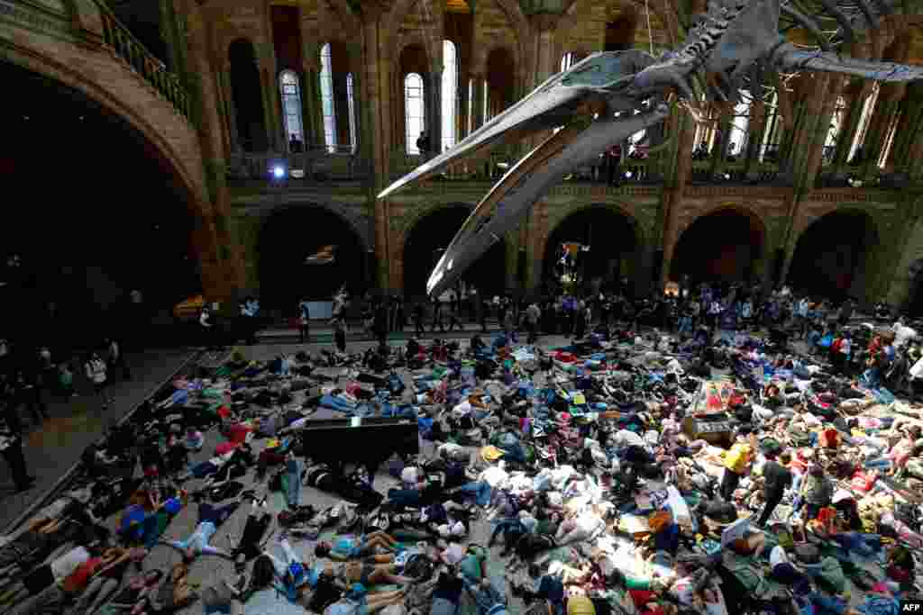 Extinction Rebellion climate change activists perform a mass &quot;die in&quot; under the blue whale in the foyer of the Natural History Museum in London on the eighth day of the environmental group&#39;s protest calling for political change to combat climate change.