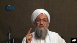 Ayman al-Zawahri (file photo)