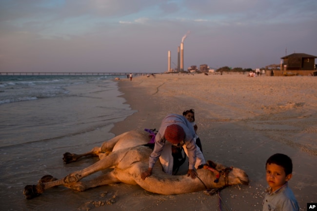 Seorang pria Bedouin memandikan ontanya di pesisir Laut Tengah di pantai Zikim, dekat kibbutz Zikim, di perbatasan Israel-Gaza, 15 Oktober 2018.