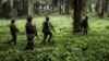 Ba soda ya Monusco ya mboka Tanzania bazalaki koluka ba bundi ya ADF ( Allied Domcratic Forces) na Beni, Nord-Kivu, 13 novembre 2018.