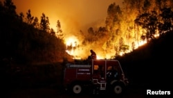 Lính cứu hỏa đang nỗ lực dập lửa gần Bouca, miền trung Bồ Đào Nha, ngày 18/6/2017. 