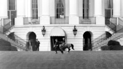Донька президента Кеннеді Керолайн катається на своєму поні Макароні на галявині Білого дому, На цій фотографії від 20 березня 1962 року