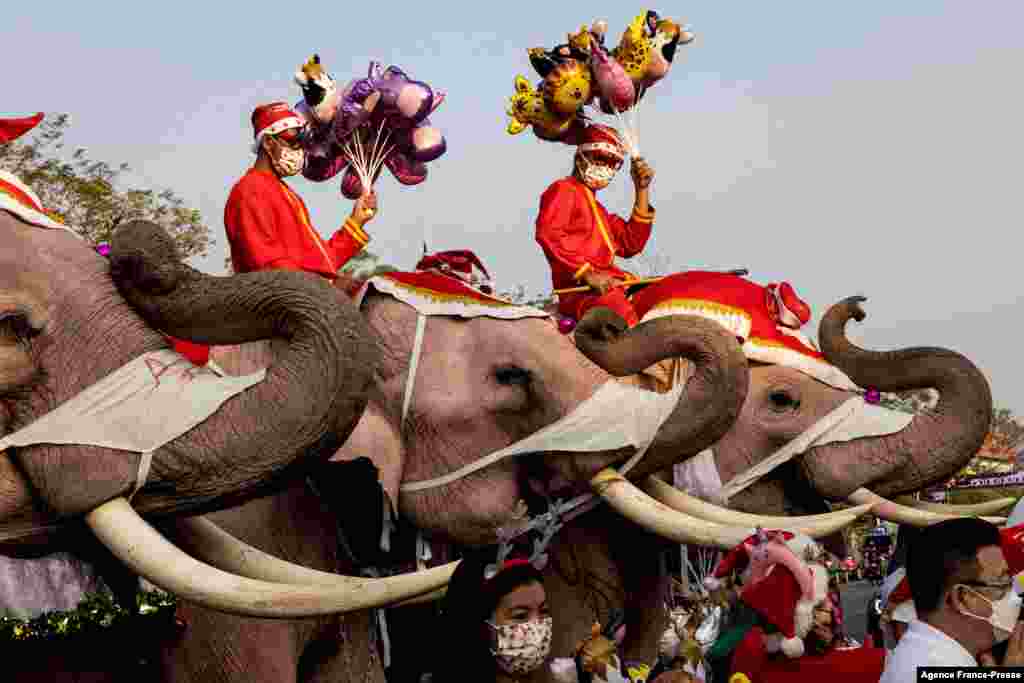 Mahouts and their elephants pose for children during Christmas celebrations at the Jirasart Witthaya school in Ayutthaya, Thailand.