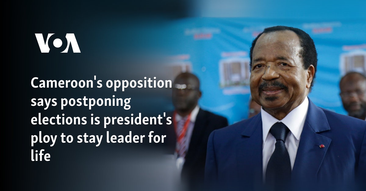 Cameroon's opposition says postponing elections is president's ploy to stay leader for life